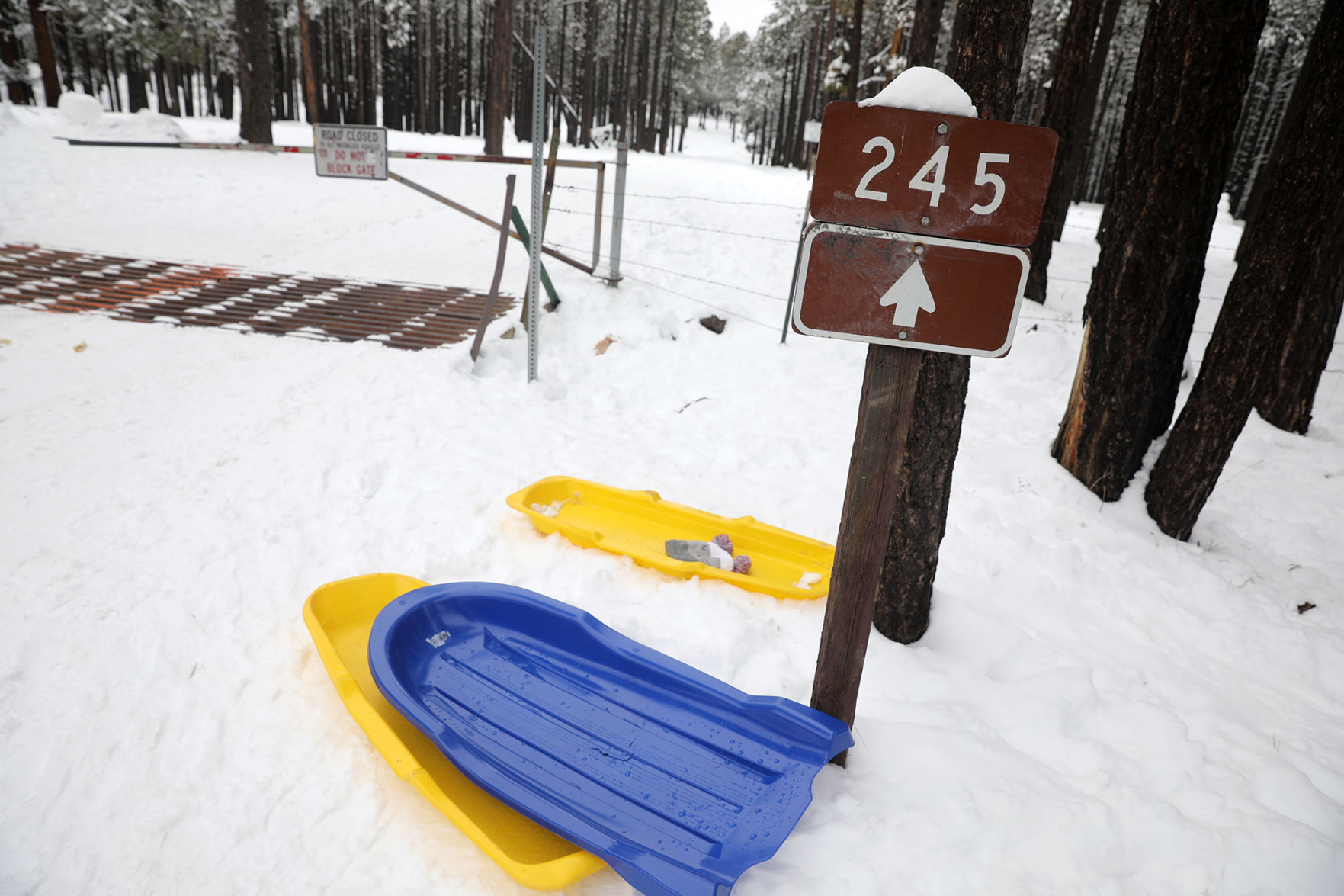 Sled Trash